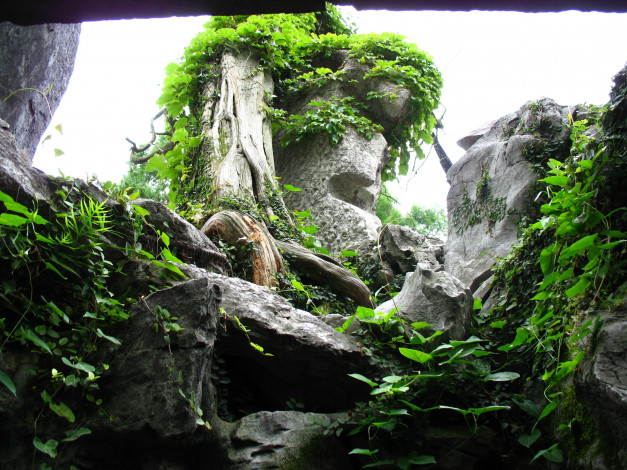 Обои картинки фото природа, другое, камни, дерево, листья