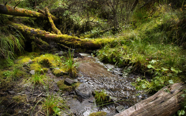 Обои картинки фото природа, дороги, ручей, горный, алтай