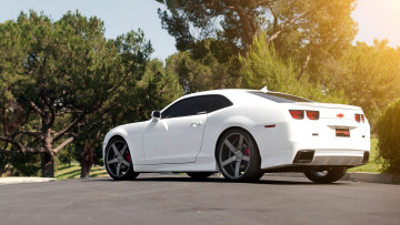 Картинка chevrolet camaro автомобили gm division сша
