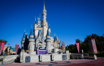 Картинка города диснейленд штат флорида сша замок золушки