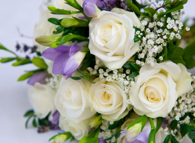 Обои картинки фото цветы, разные, вместе, розы, гипсофила, фрезия, букет