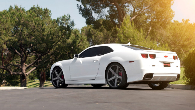 Обои картинки фото chevrolet, camaro, автомобили, gm, division, сша