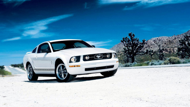 Обои картинки фото mustang, автомобили, ford, motor, company, сша