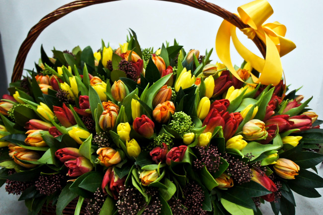 Обои картинки фото цветы, тюльпаны, корзина