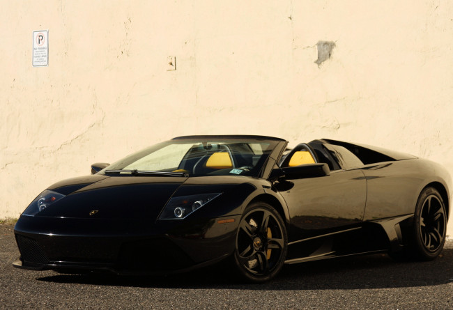 Обои картинки фото автомобили, lamborghini, lambo