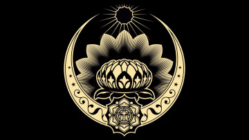 Картинка рисованные минимализм лотос