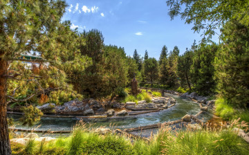 Картинка природа парк парки hdr дизайн диснейленд анахайм калифорния сша