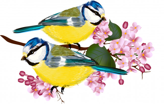 Обои картинки фото векторная графика, листья, цветы, ветка, синицы