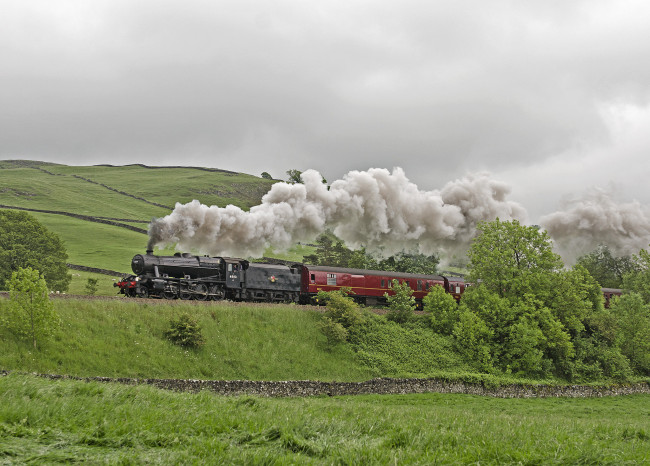 Обои картинки фото техника, паровозы, железная, дорога, рельсы, паровоз, вагоны