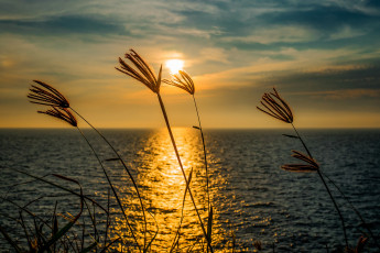 Картинка природа восходы закаты рассвет