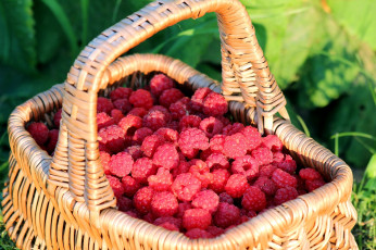 Картинка еда малина ягоды корзина