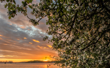 Картинка природа восходы закаты рассвет