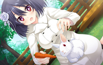 Картинка tarareba аниме животные +существа девушка взгляд фон кролик