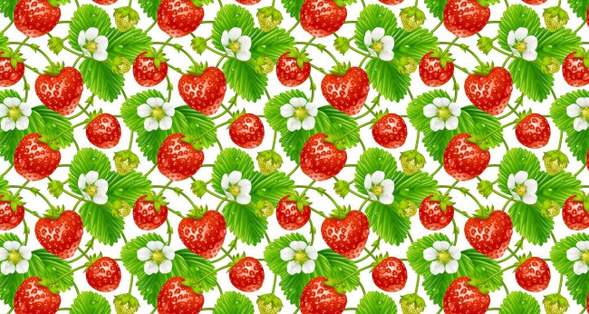 Обои картинки фото векторная графика, еда , food, клубника, цветы, фон