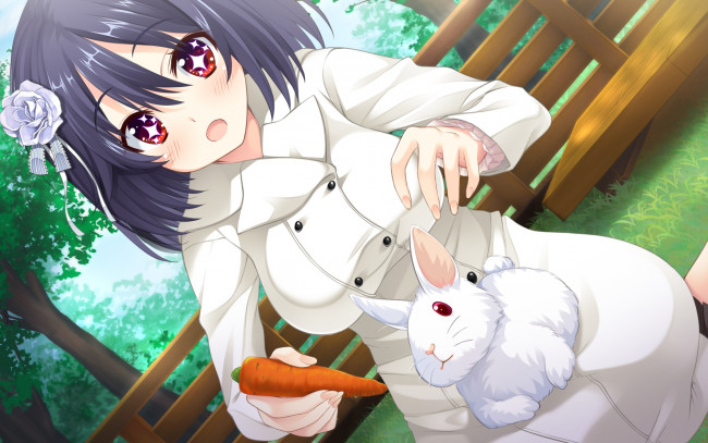 Обои картинки фото tarareba, аниме, животные,  существа, девушка, взгляд, фон, кролик