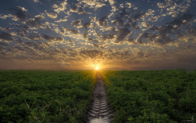 Обои картинки фото природа, восходы, закаты, рассвет