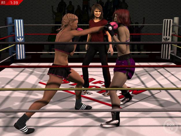 Обои картинки фото 3д графика, спорт , sport, девушки, взгляд, бокс, ринг, фон