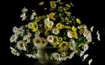 обоя цветы, маргаритки, ваза, букет