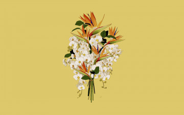 Картинка рисованное цветы букет