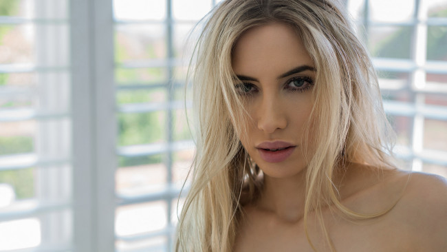 Обои картинки фото девушки, phyona macy, phyona, macy