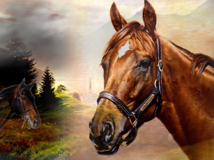 Картинка 295519 рисованное животные +лошади лошадь