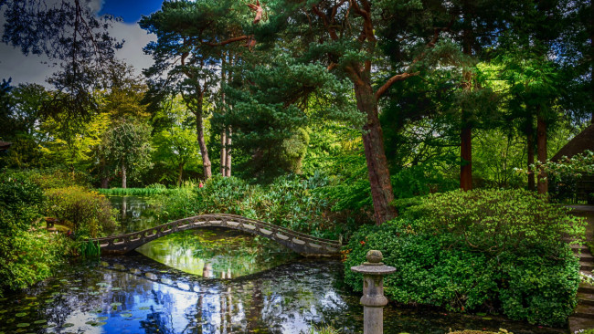 Обои картинки фото tatton park, cheshire, england, природа, парк, tatton, park
