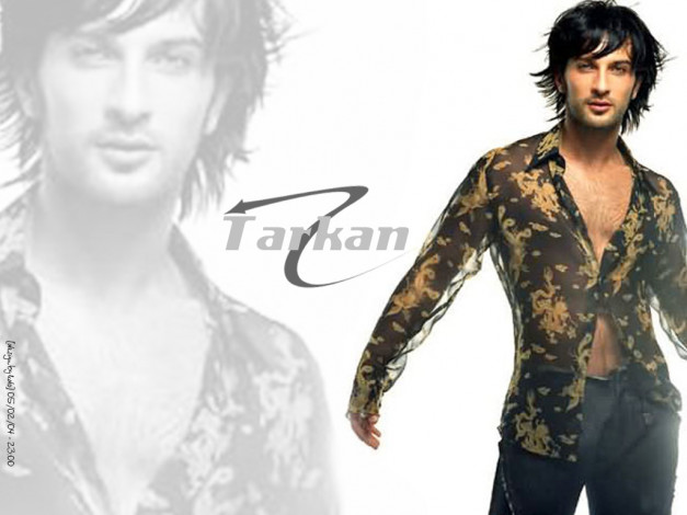Обои картинки фото tarkan, музыка