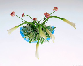 Картинка цветы букеты композиции