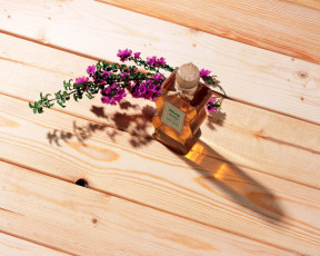 Картинка цветы цветущие деревья кустарники