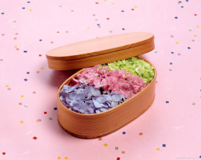 Картинка цветы гортензия