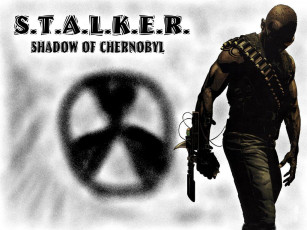 Картинка видео игры shadow of chernobyl