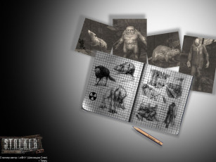 Картинка видео игры shadow of chernobyl