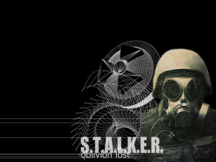 Картинка видео игры shadow of chernobyl