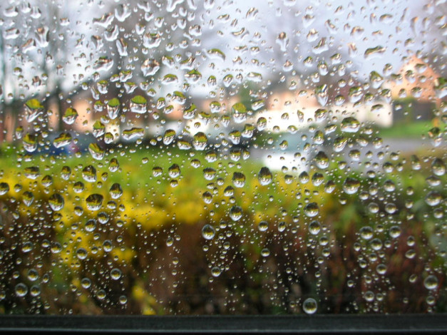 Обои картинки фото 