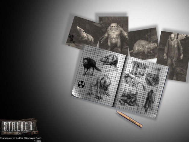 Обои картинки фото видео, игры, shadow, of, chernobyl