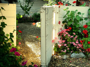 Картинка gate to paradise цветы герань