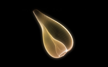 Картинка 3д графика abstract абстракции