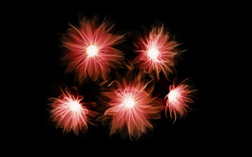 Картинка 3д графика flowers цветы