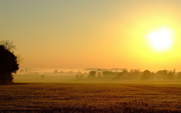 Картинка природа поля