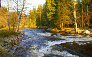 Картинка природа реки озера