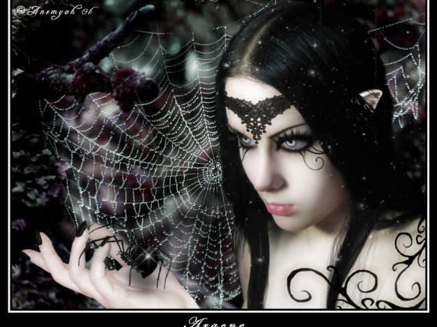 Обои картинки фото фэнтези, эльфы