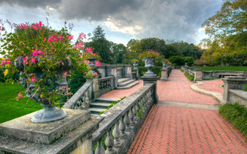 Картинка природа парк