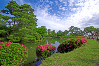 Картинка природа реки озера