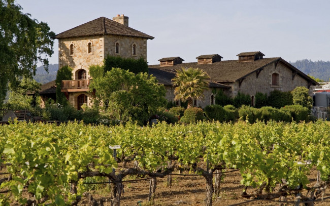 Обои картинки фото города, здания, дома, виноградник