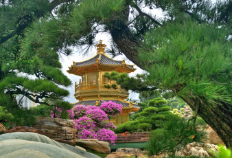 Картинка города буддистские другие храмы сосна пагода храм