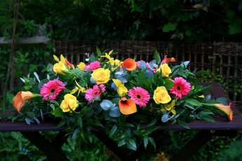 Картинка цветы букеты композиции каллы розы герберы