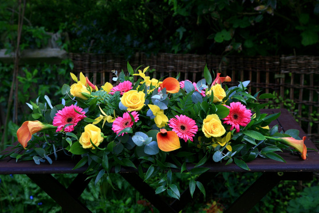 Обои картинки фото цветы, букеты, композиции, каллы, розы, герберы