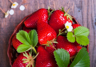 Картинка еда клубника +земляника ягоды
