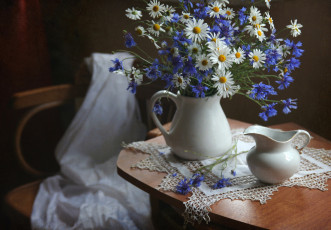 обоя цветы, луговые , полевые,  цветы, васильки, ромашки