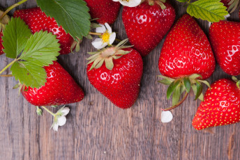 Картинка еда клубника +земляника ягоды